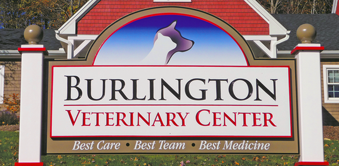 Burlington Veterinary Center | 17 Covey Rd, Burlington, CT 06013 | Phone: (860) 675-6009