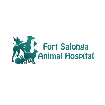 Fort Salonga Animal Hospital | 10-1B, Fort Salonga Rd, Fort Salonga, NY 11768 | Phone: (631) 261-0610