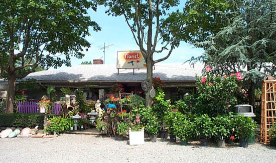 Whispering Pine Garden Center | 1 Windsor Rd, Yorktown Heights, NY 10598 | Phone: (914) 248-7444