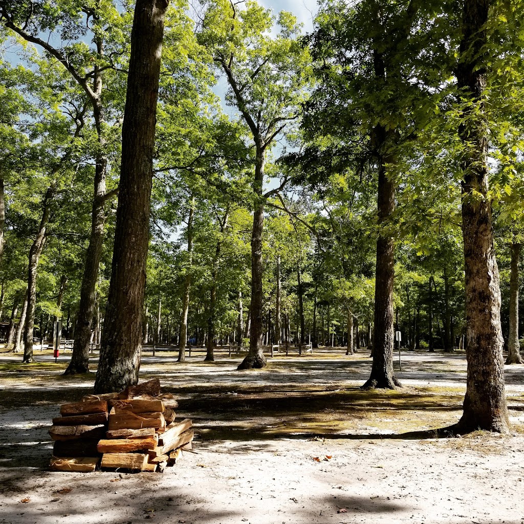 Southaven County Park Campground | River Rd, Shirley, NY 11967 | Phone: (631) 852-1391