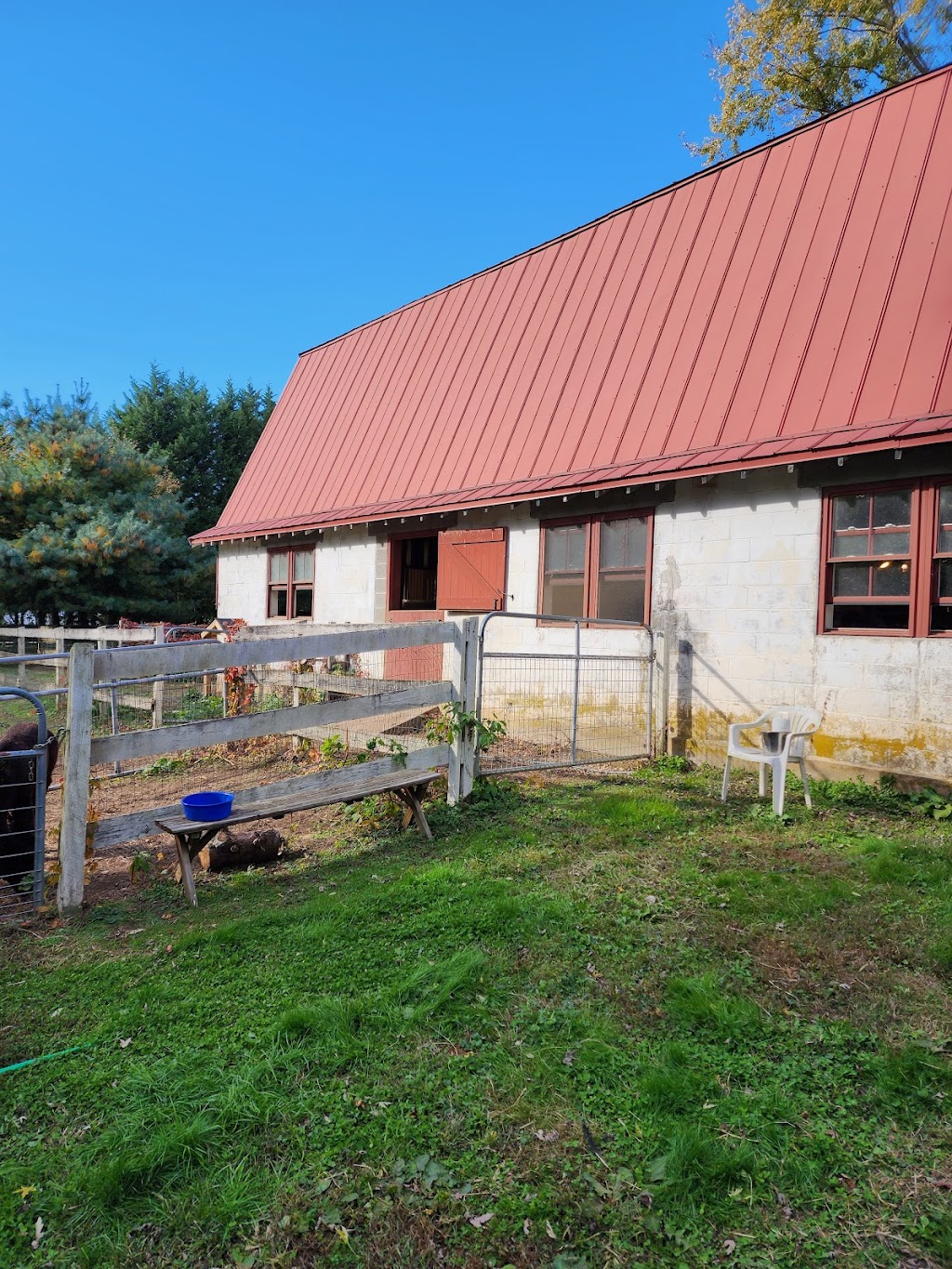 Windy Farm Alpacas | 61 White Pine Rd, Chesterfield Township, NJ 08515 | Phone: (609) 947-8269