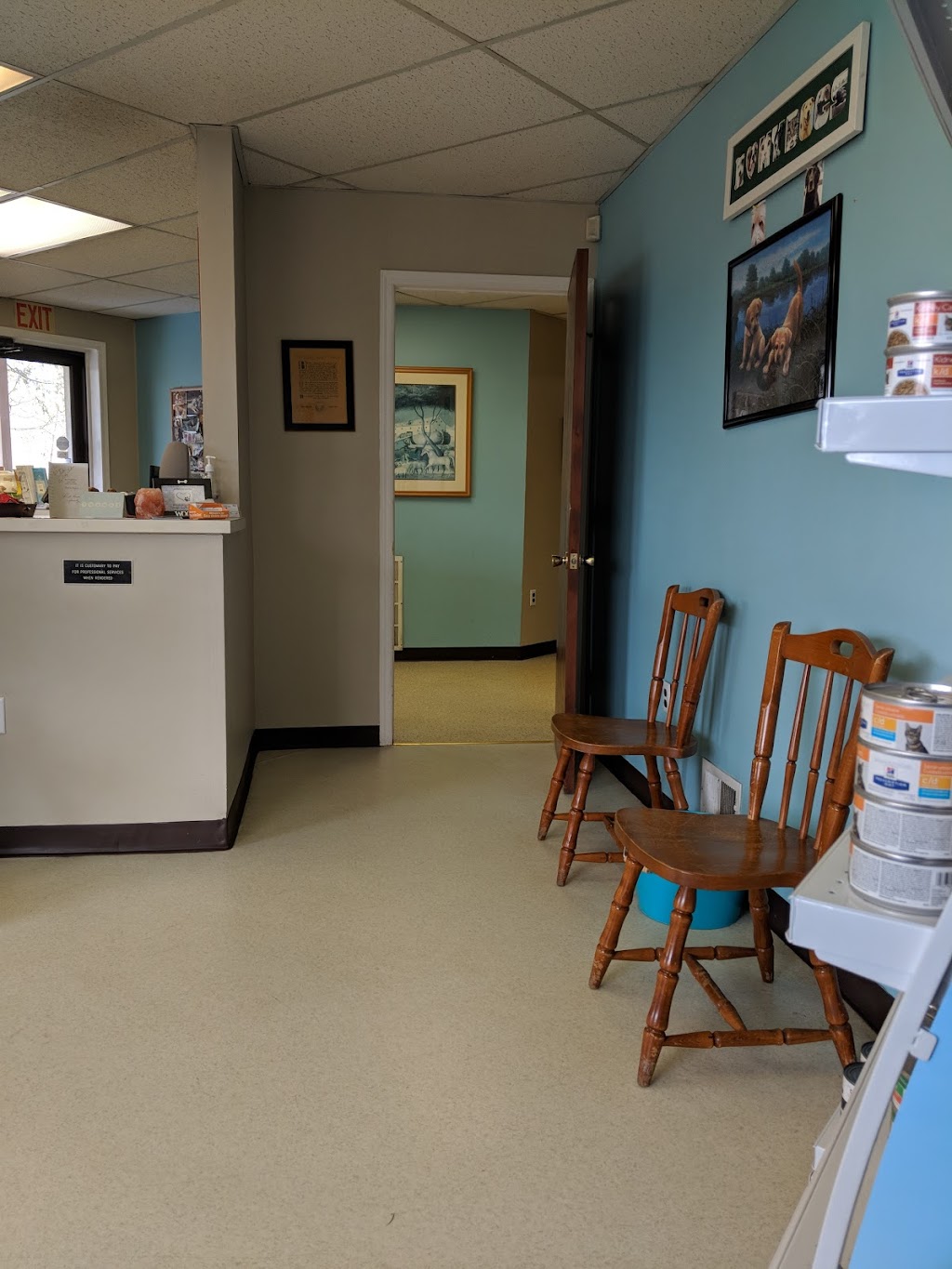 Colonial Animal Hospital | 163 County Rd 537, Colts Neck, NJ 07722 | Phone: (732) 780-5290