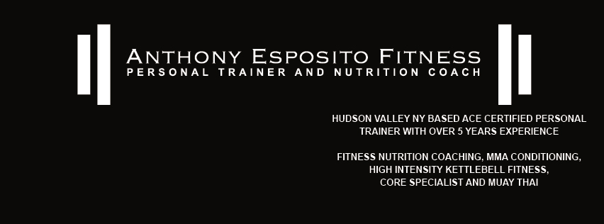 Anthony Esposito Fitness | 2424 NY-32 STE 104, New Windsor, NY 12553 | Phone: (845) 857-4360