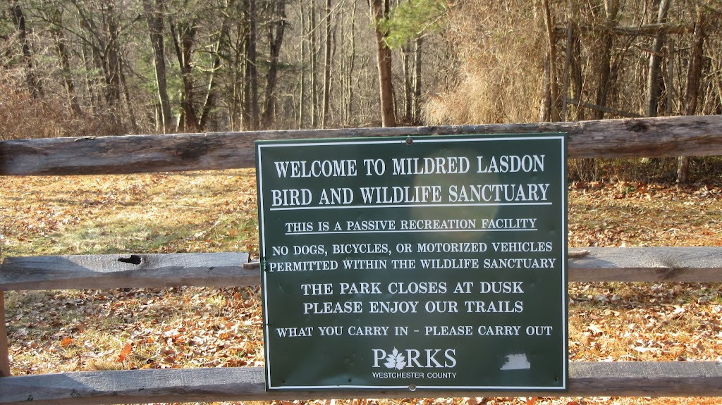 Mildred B Lasdon Sanctuary | 55 Wood St, Katonah, NY 10536 | Phone: (914) 231-4500