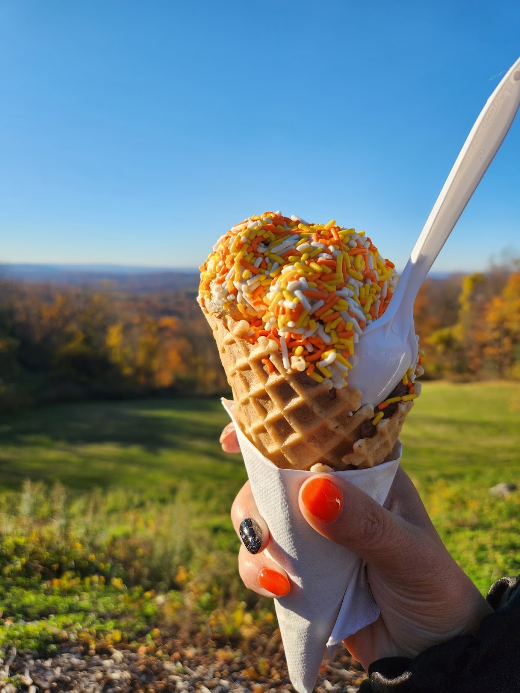 Bellvale Farms Creamery | 1390 NY-17A, Warwick, NY 10990 | Phone: (845) 988-1818