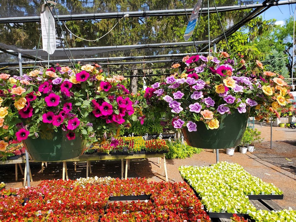 Jims Lawn and Garden Center | 75 and, 77 St Mihiel Dr, Delran, NJ 08075 | Phone: (856) 461-2666