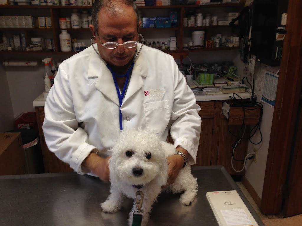 Hammonasset Animal Clinic | 117 Cottage Rd, Madison, CT 06443 | Phone: (203) 245-3434