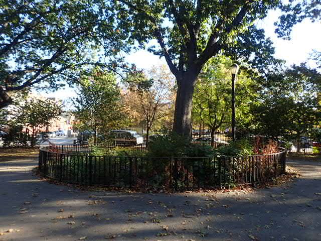 Tom Stofka Garden | McCarren Park, Brooklyn, NY 11222 | Phone: (212) 639-9675
