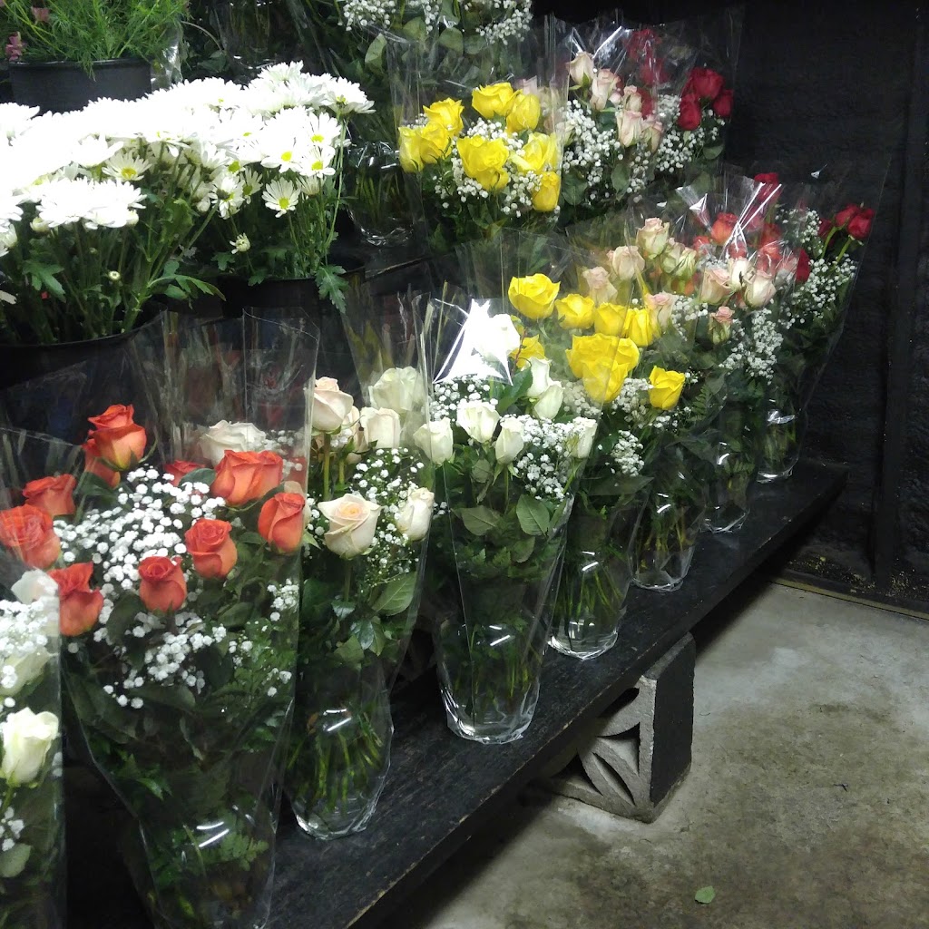 Americas Florist | 227 W Union Ave, Bound Brook, NJ 08805 | Phone: (732) 356-9377