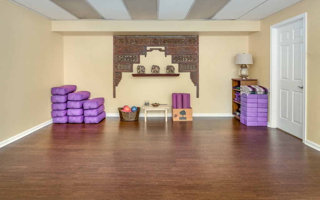 Collegeville Yoga Bar | 3606 Ridge Pike, Collegeville, PA 19426 | Phone: (610) 733-8918