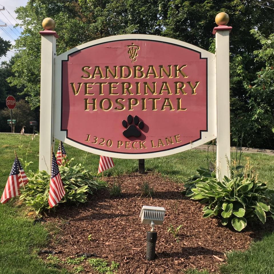 Sandbank Veterinary Hospital | 1320 Peck Ln, Cheshire, CT 06410 | Phone: (203) 439-9133