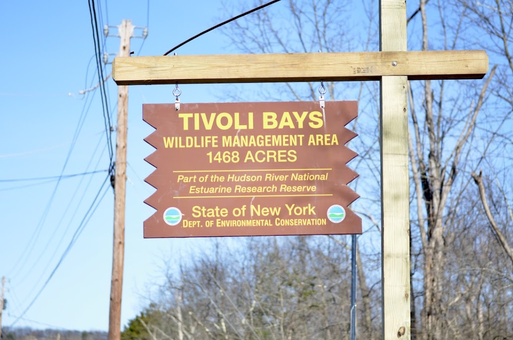 Tivoli Runners | 1 N Rd, Tivoli, NY 12583 | Phone: (518) 701-3708