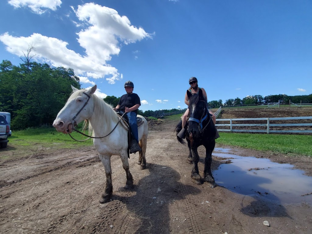 K&K Equestrian Center at Ravine Farm | 5203 Co Rd 67, East Durham, NY 12423 | Phone: (518) 966-4829