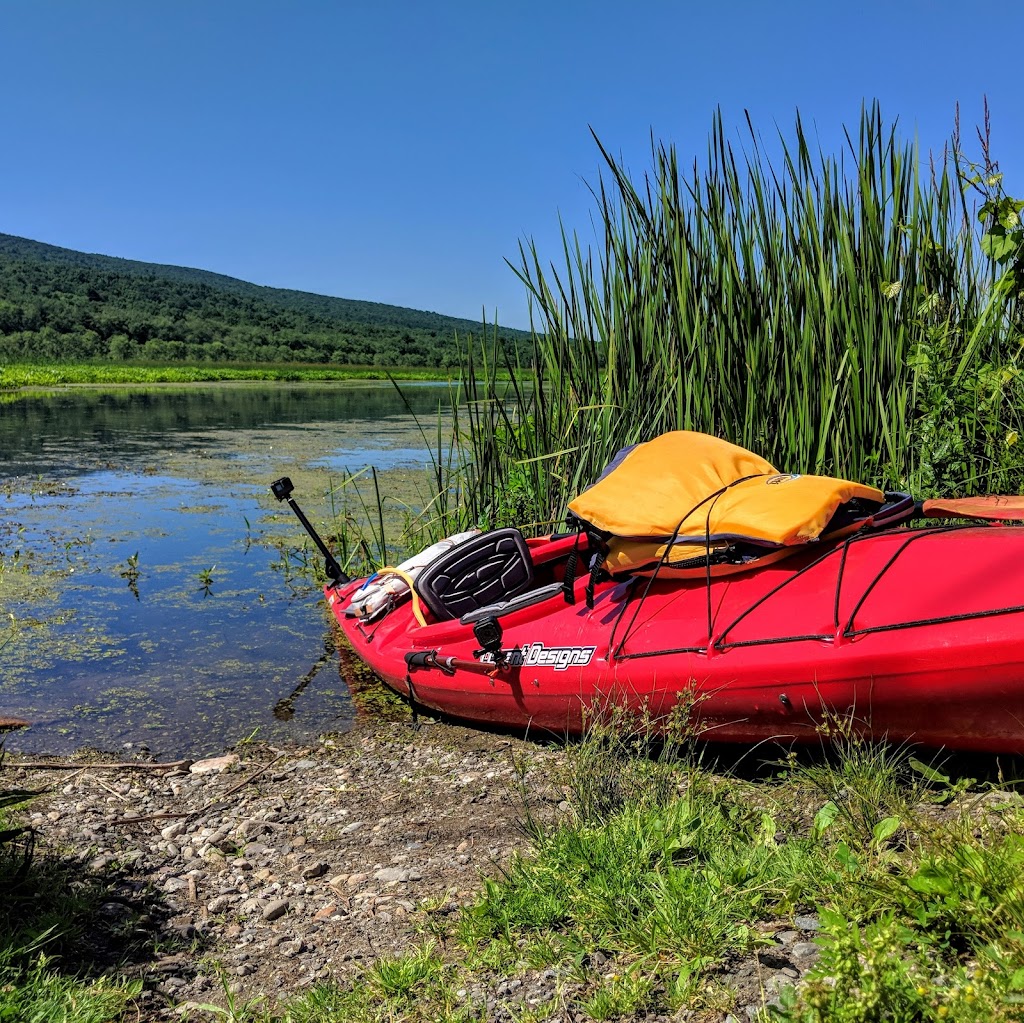 The Basha Kill Marsh | Wurtsboro, NY 12790 | Phone: (845) 754-0743