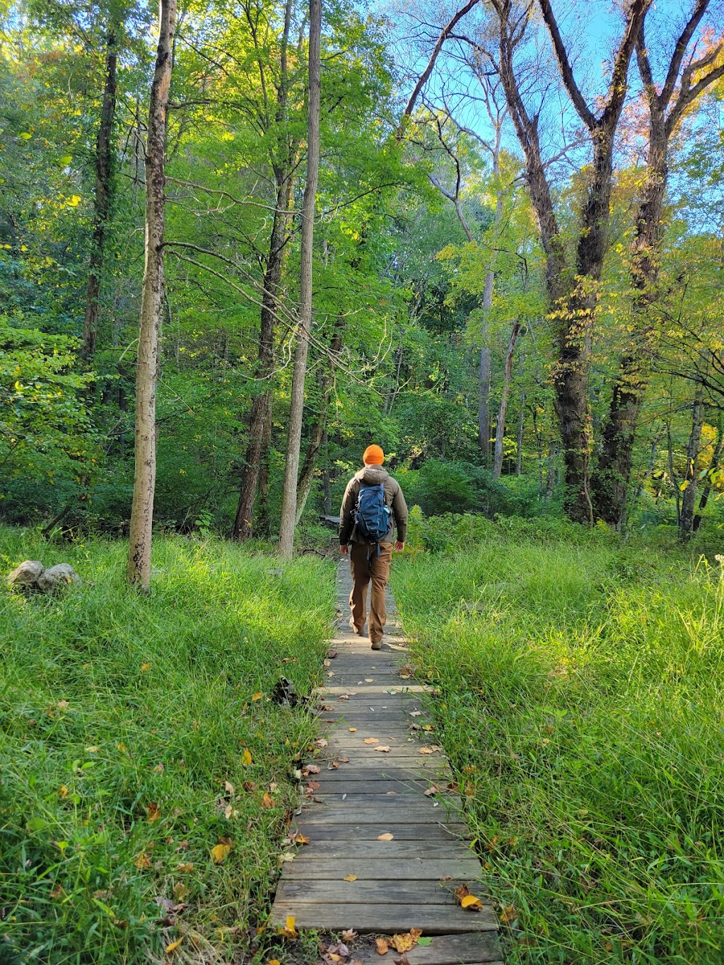 Greenwich Audubon Center | 613 Riversville Rd, Greenwich, CT 06831 | Phone: (203) 869-5272