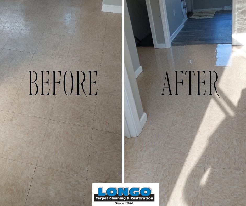 Longo Carpet Cleaning | 80 S Ramah Cir, Agawam, MA 01001 | Phone: (413) 789-3535