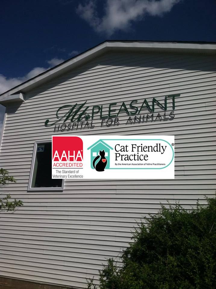 Mt. Pleasant Hospital for Animals | 119 Mt Pleasant Rd, Newtown, CT 06470 | Phone: (203) 426-8585