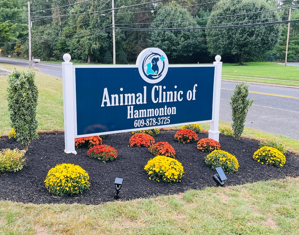 Animal Clinic of Hammonton | 811 S Egg Harbor Rd, Hammonton, NJ 08037 | Phone: (609) 878-3725