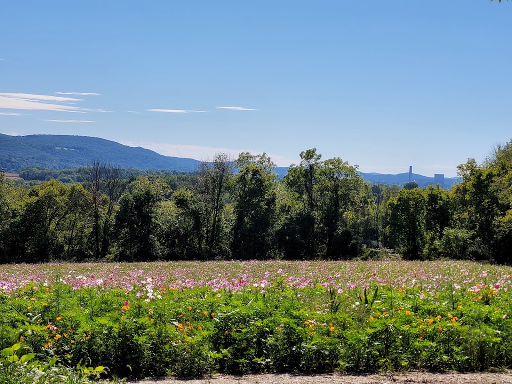 Beaver Brook Wildlife Management Area | Upper Sarepta Rd, Belvidere, NJ 07823 | Phone: (973) 383-0918