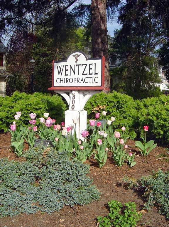 Wentzel Chiropractic Centre | 300 High St, Mt Holly, NJ 08060 | Phone: (609) 265-1717