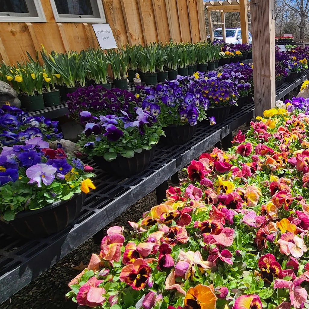 Shoreline Garden Center | 31-A Old Post Rd, Clinton, CT 06413 | Phone: (860) 669-0765