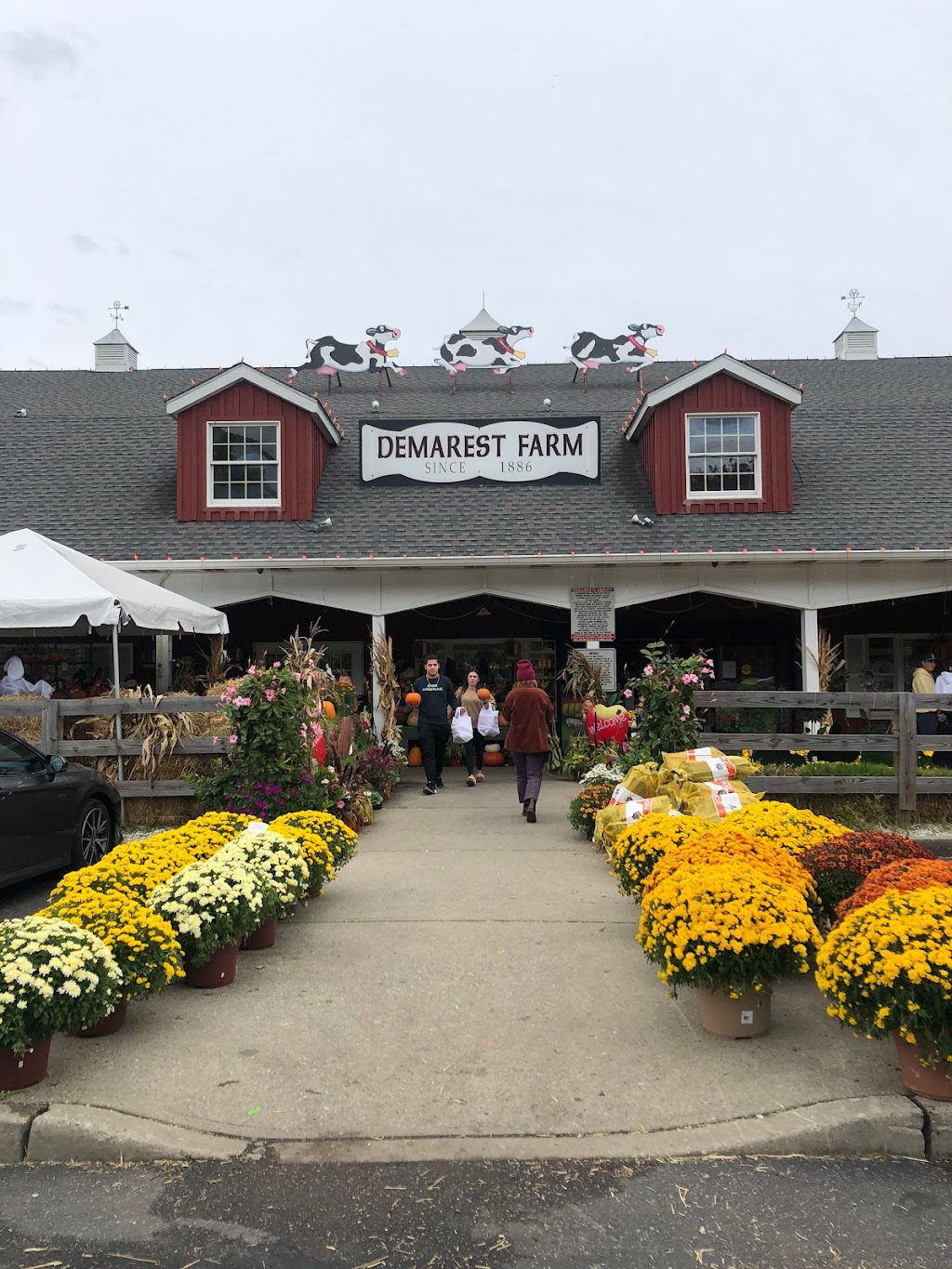 Demarest Farms | 244 Werimus Rd, Hillsdale, NJ 07642 | Phone: (201) 666-0472