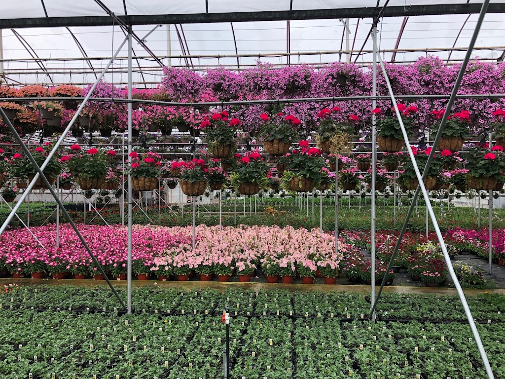 Flowerland Growers | 568 County Road 519, Belvidere, NJ 07823 | Phone: (908) 750-4567