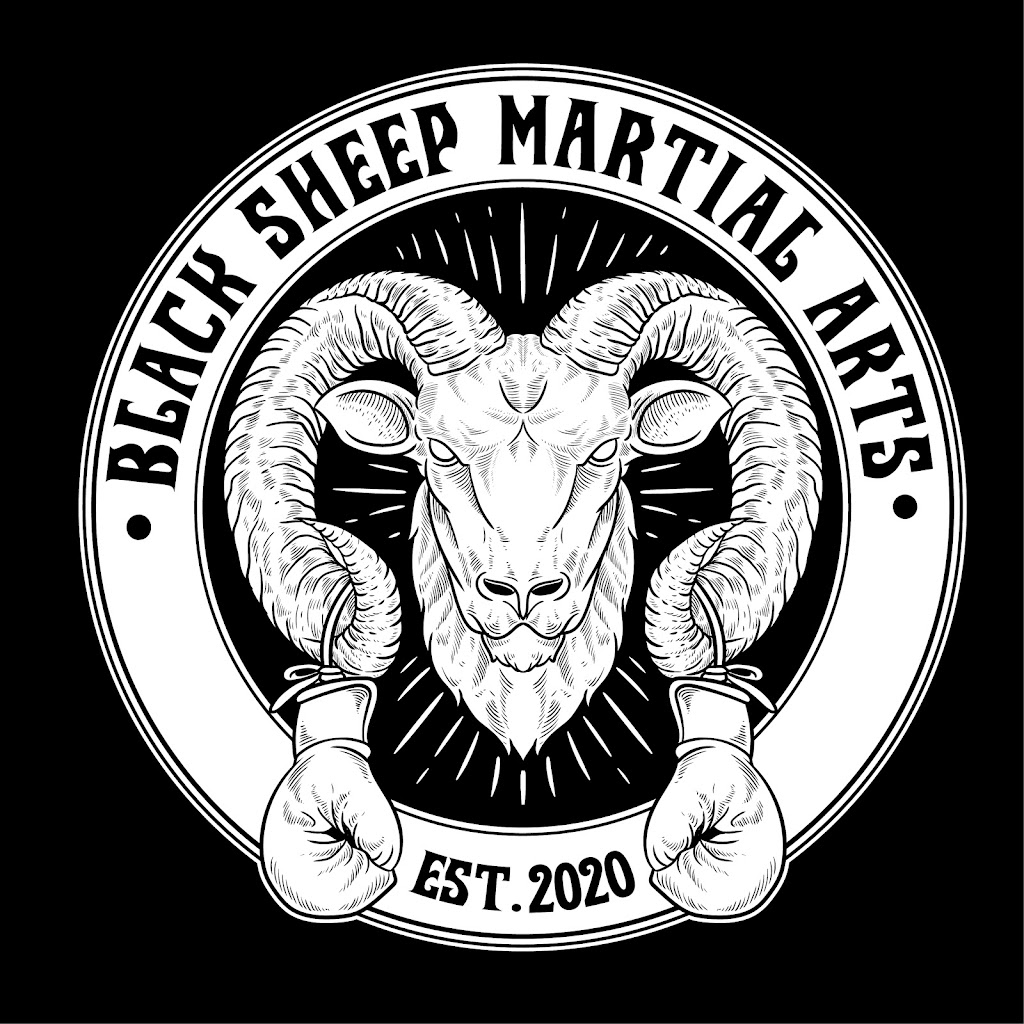 Black Sheep Martial Arts | 3563 Schuylkill Rd, Spring City, PA 19475 | Phone: (484) 369-0431