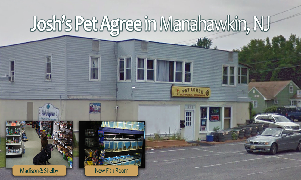 Joshs Pet Agree | 521 E Bay Ave, Manahawkin, NJ 08050 | Phone: (609) 597-9669