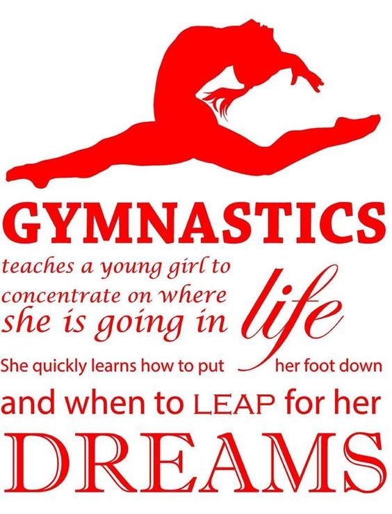 All Stars Gymnastics Inc | 3601 Hempstead Tpke, Levittown, NY 11756 | Phone: (516) 796-2188