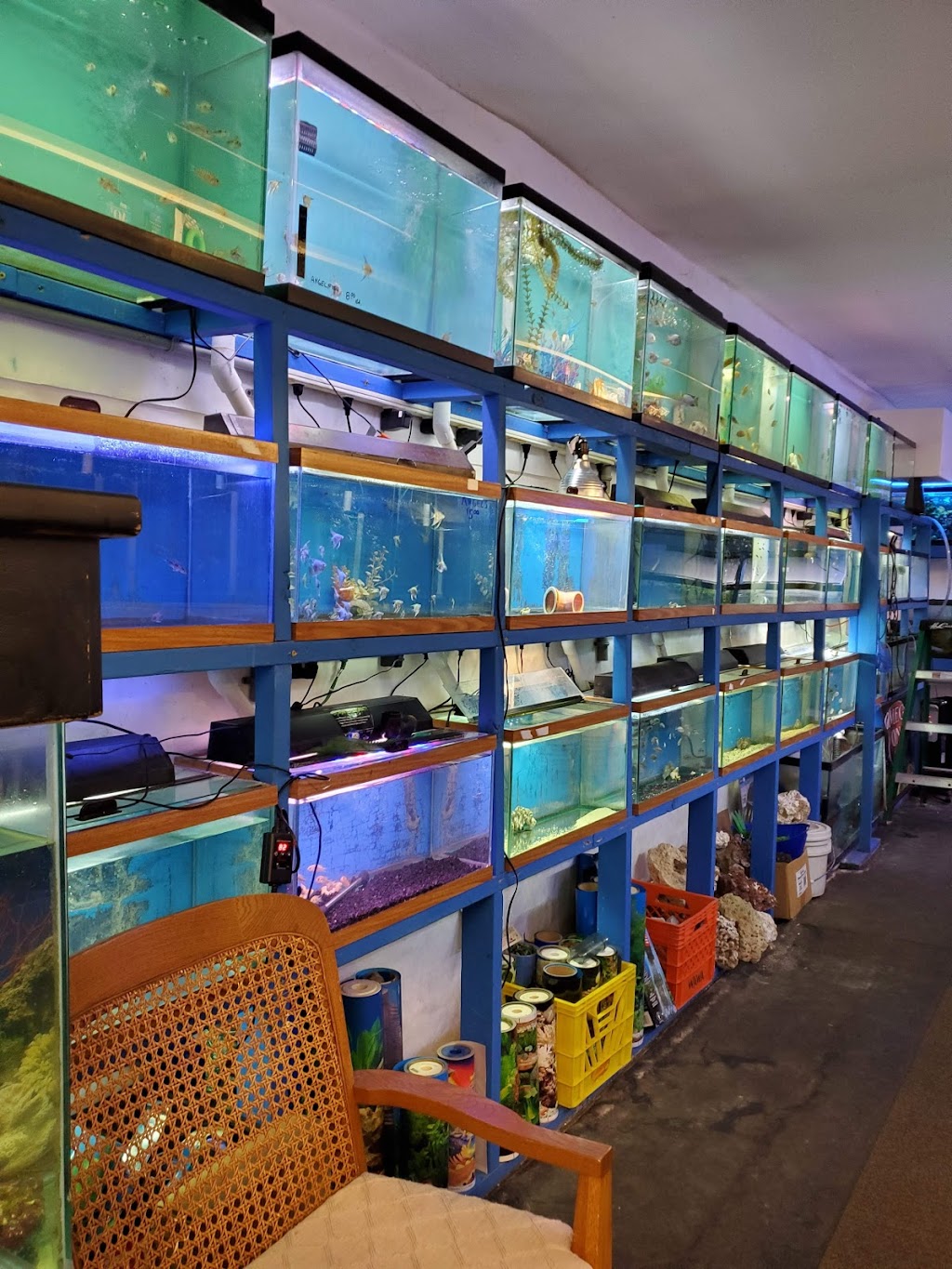 Aquarium World | 1512 Meetinghouse Rd, Upper Chichester Township, PA 19061 | Phone: (610) 485-3189