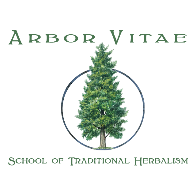 ArborVitae School of Traditional Herbalism | 181 Huguenot St, New Paltz, NY 12561 | Phone: (646) 721-5998