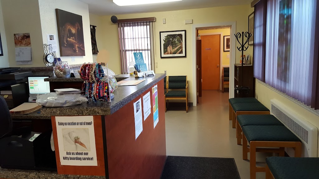 Allentown Cat Clinic, PC | 4090 Tilghman St, Allentown, PA 18104 | Phone: (610) 398-3556