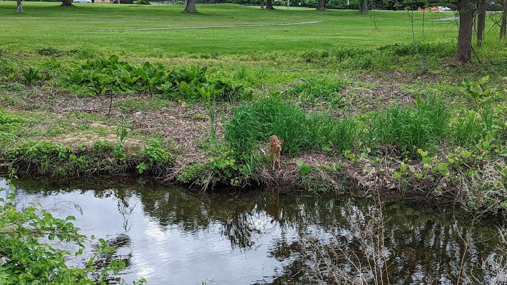 Flanders Valley Golf Course | 81 Pleasant Hill Rd, Flanders, NJ 07836 | Phone: (973) 584-5382