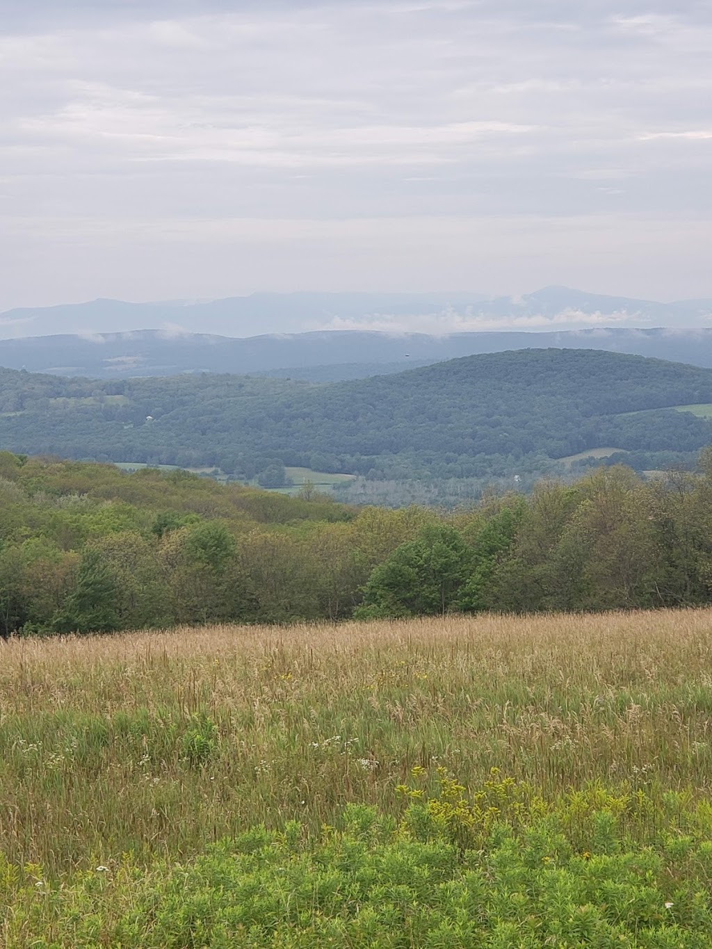 Overmountain Conservation Area | 138 Cattalino Rd, Ancramdale, NY 12503 | Phone: (518) 392-5252