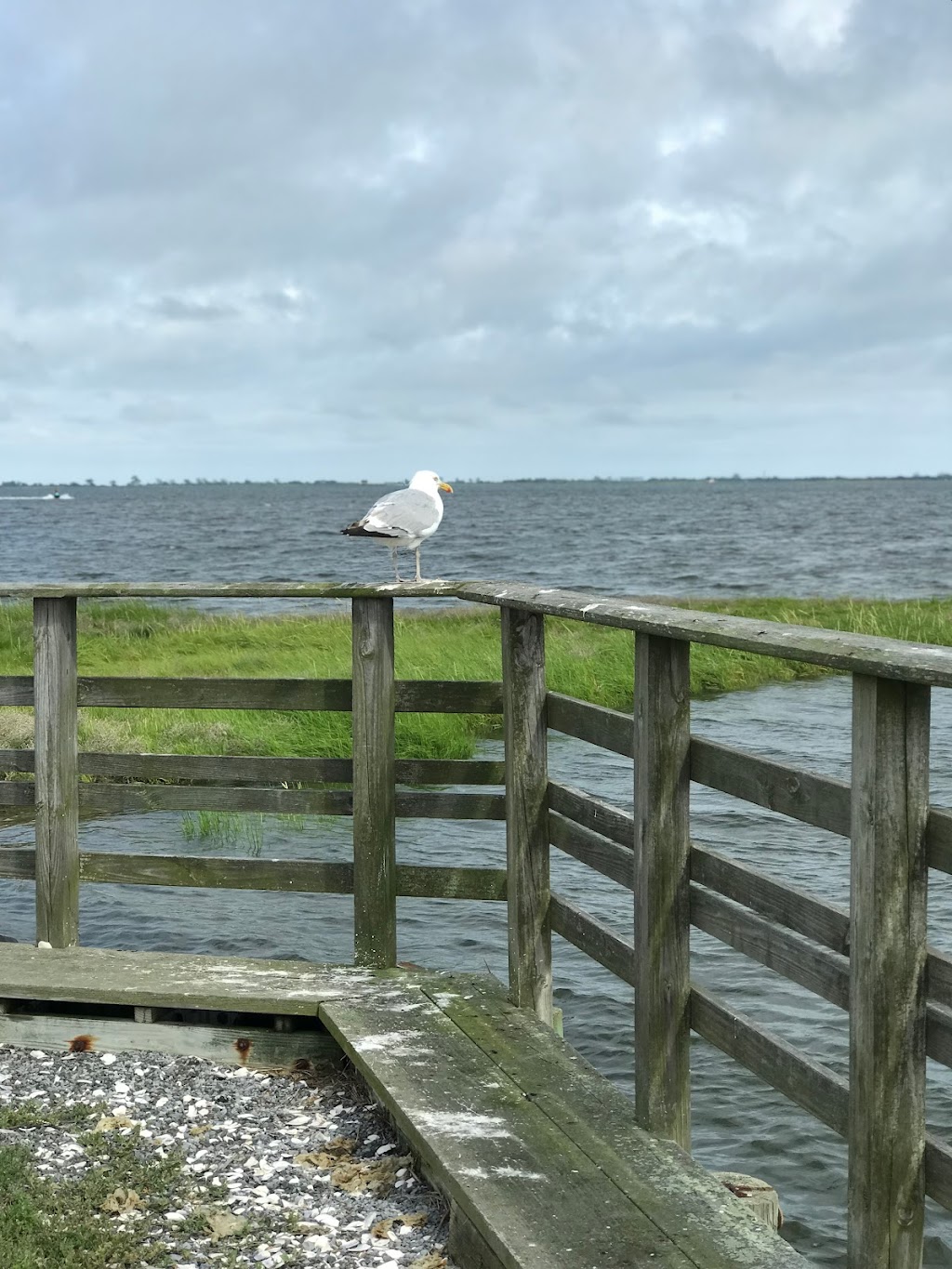 Marine Nature Study Area | 500 Slice Dr, Oceanside, NY 11572 | Phone: (516) 766-1580