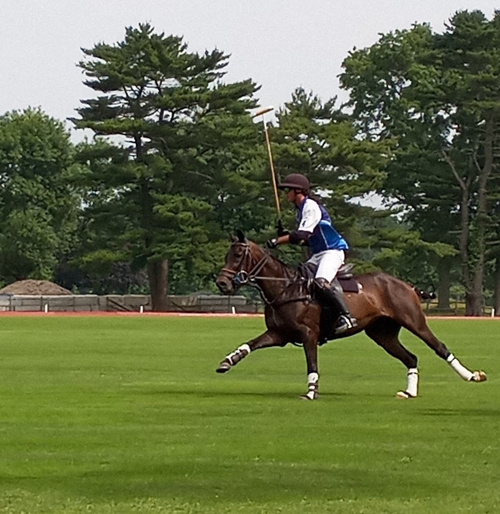Bethpage Polo Field | Plainview Road &, Manchester Dr, Bethpage, NY 11714 | Phone: (516) 231-8886