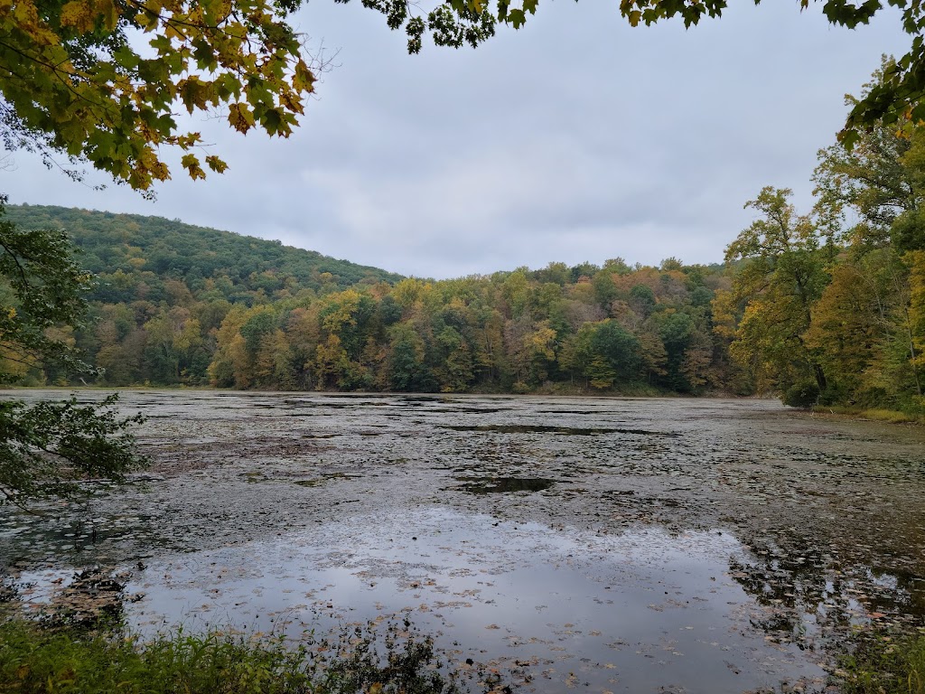 Jenny Jump State Forest | 330 State Park Rd, Hope, NJ 07844 | Phone: (908) 459-4366