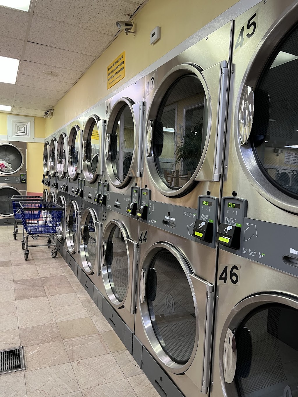 For the Team Laundry | 25 West St, Bristol, CT 06010 | Phone: (860) 585-8619
