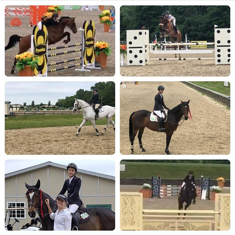 Chester Riding Club | 80 US-206, Chester, NJ 07930 | Phone: (908) 879-0578