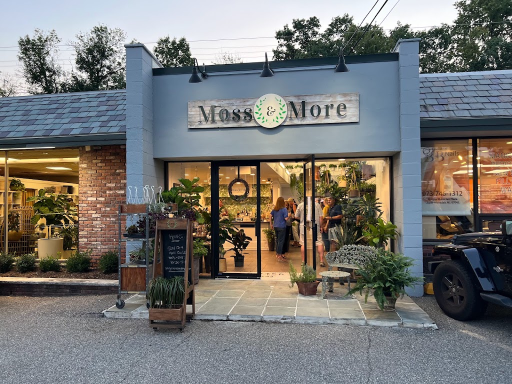 Moss & More | 42 Upper Montclair Plaza, Montclair, NJ 07043 | Phone: (973) 744-0189