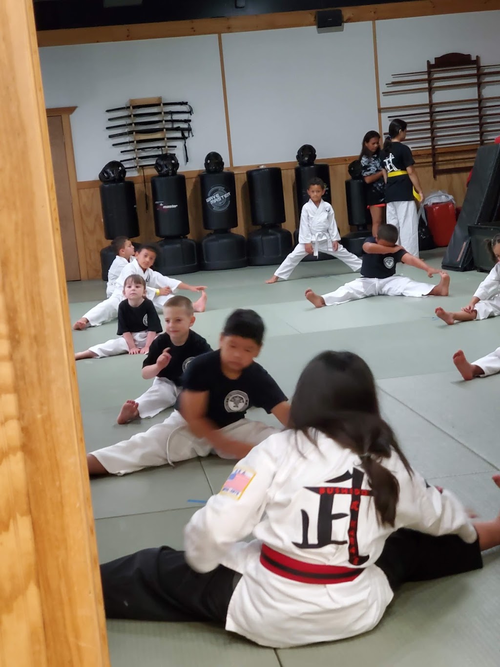 Bushido Karate Dojo | 876 Connetquot Ave #01, Islip Terrace, NY 11752 | Phone: (631) 277-3656