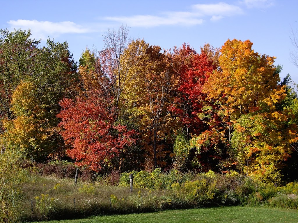 Honeybee Nursery School | 38 Breckenridge Rd, Hadley, MA 01035 | Phone: (513) 375-8860