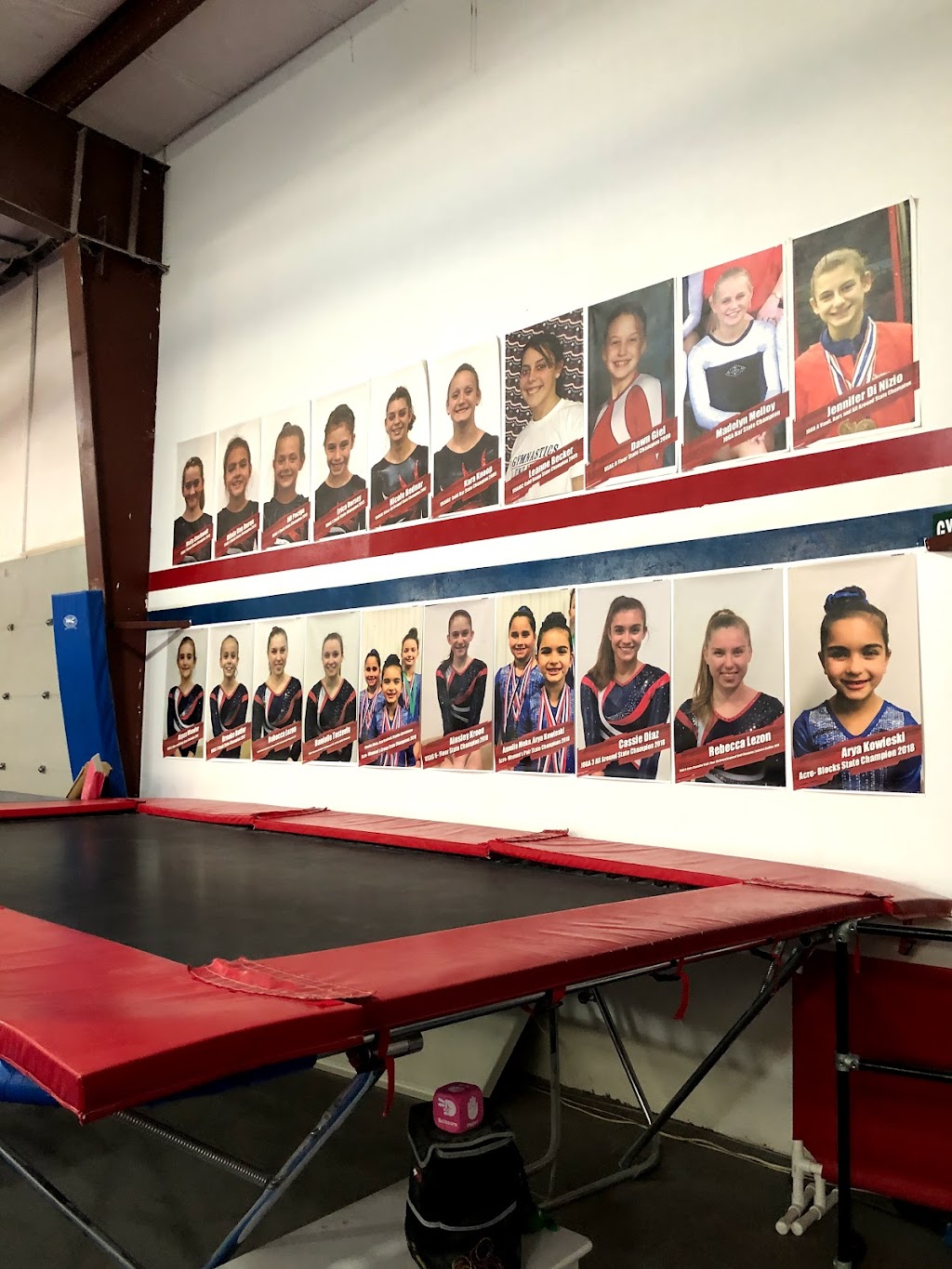 Gymnastics Unlimited | 2 Lilac Dr, Flemington, NJ 08822 | Phone: (908) 782-8887