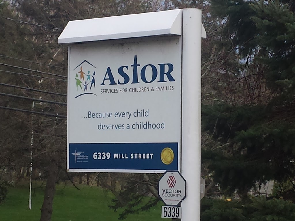 Astor Services for Children & Families | 6339 Mill St, Rhinebeck, NY 12572 | Phone: (845) 871-1000