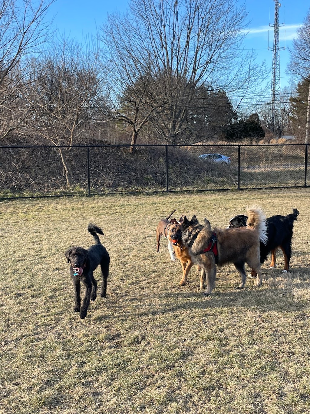 Twining Valley Dog Park | 4VV2+J6, Dresher, PA 19090 | Phone: (215) 643-1600