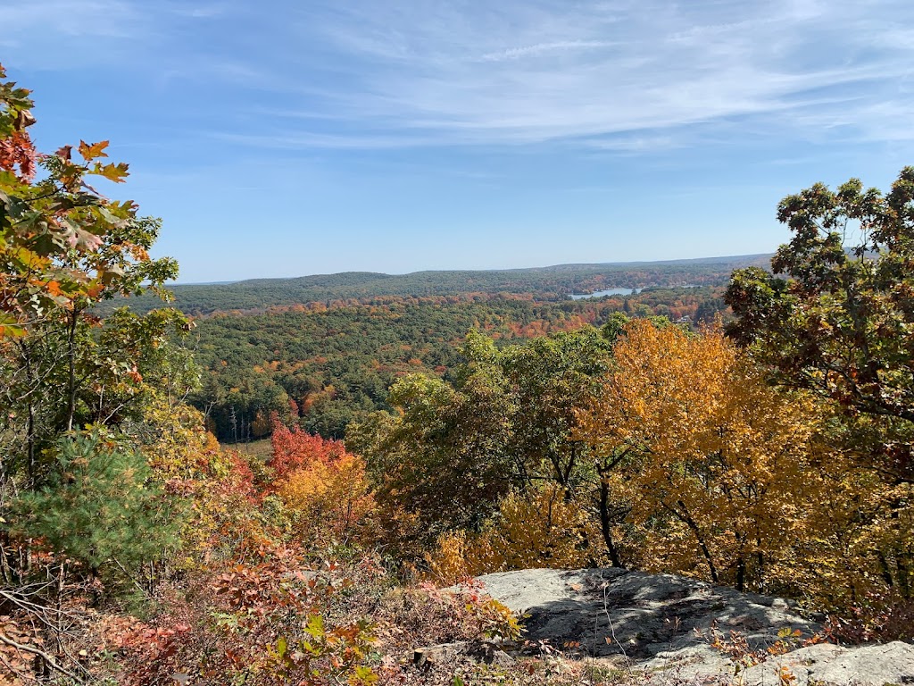 Brimfield State Forest | 86 Dearth Hill Rd, Brimfield, MA 01010 | Phone: (413) 267-9687