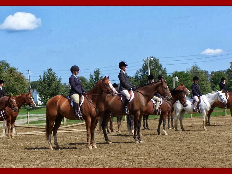 Central Jersey Horsemans Association | 2025 Kozloski Rd, Freehold, NJ 07762 | Phone: (732) 492-5031