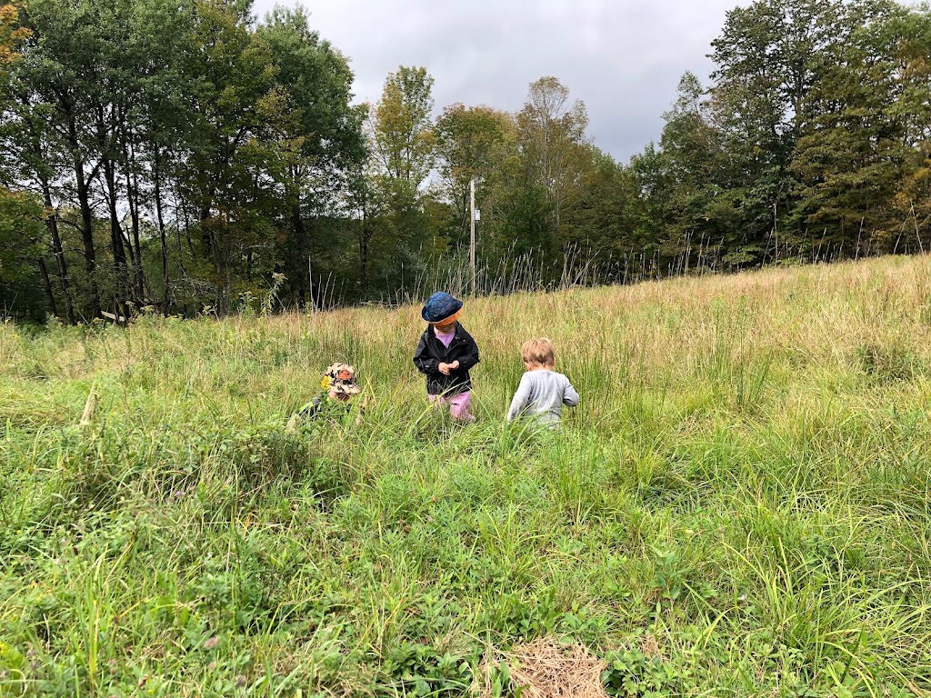 The Oak Rose Forest School by The Wizard School | 132 Hospital Rd, Callicoon, NY 12723 | Phone: (561) 718-3052