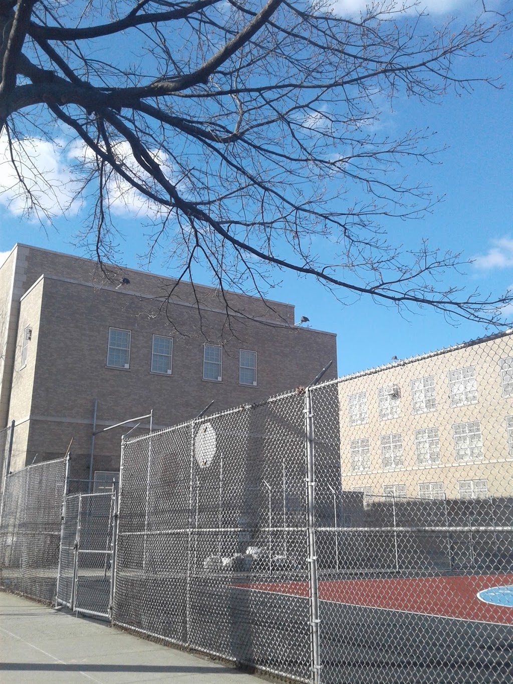 P811Q Public Shool | 114-0-114-98 202nd St, St. Albans, NY 11412 | Phone: (718) 776-4500